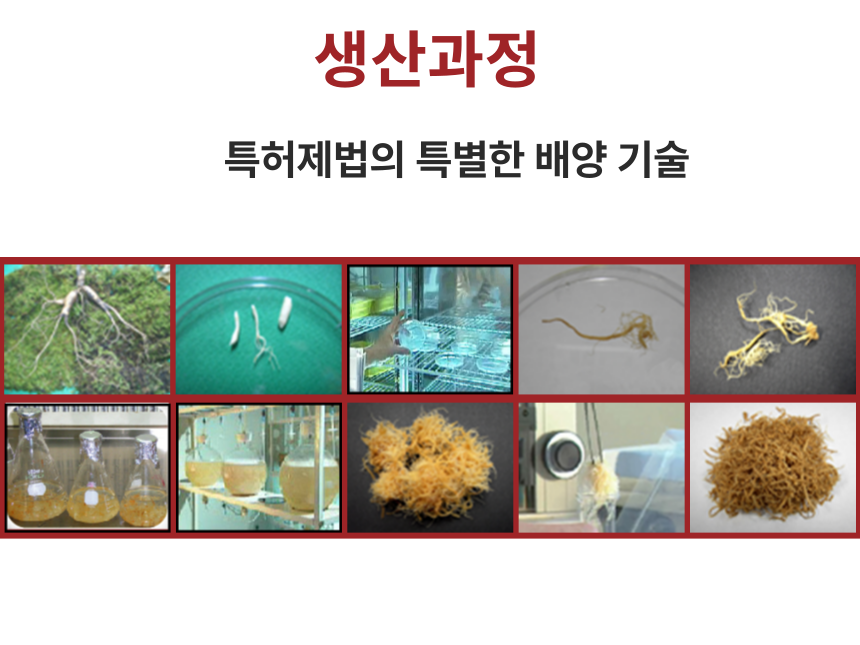 ca946c2708007a2820aff42ab3a14aff_1749332152_3505.png